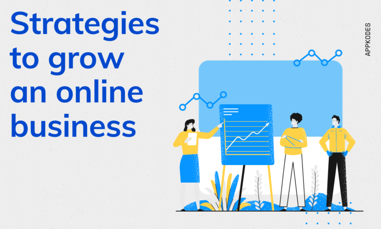 strategies to grow online business