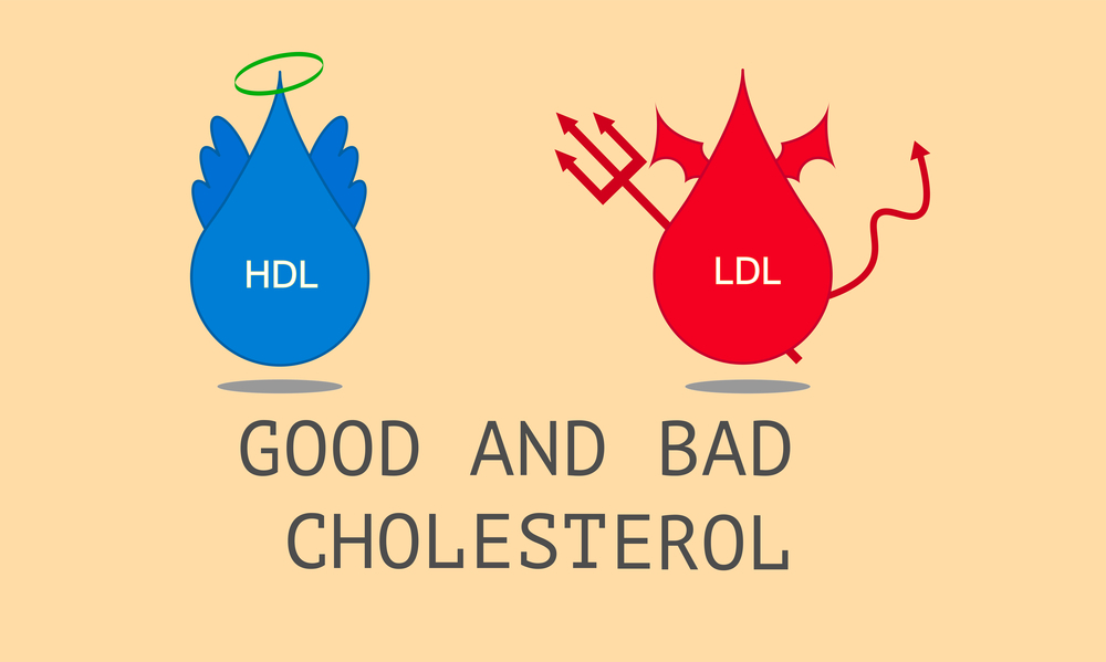 Symptoms of High Cholesterol and Low Cholesterol