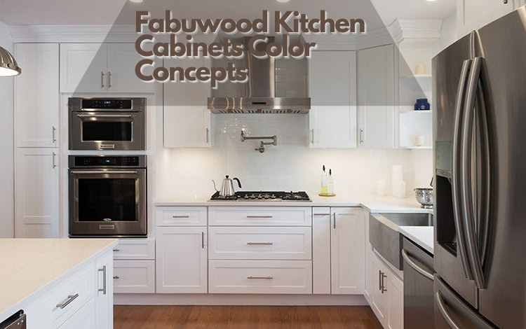 Fabuwood Kitchen Cabinets Color Concepts