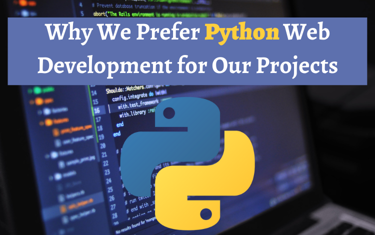 Why We Prefer Python Web Development for Our Projects