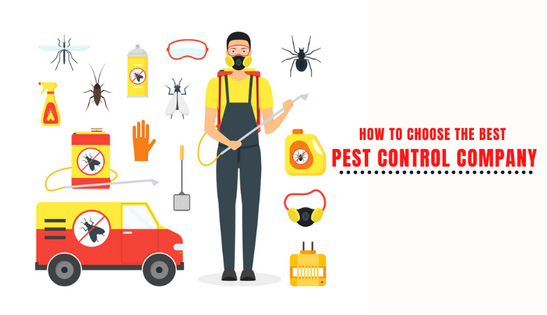 How to Choose the Best Pest Control Company