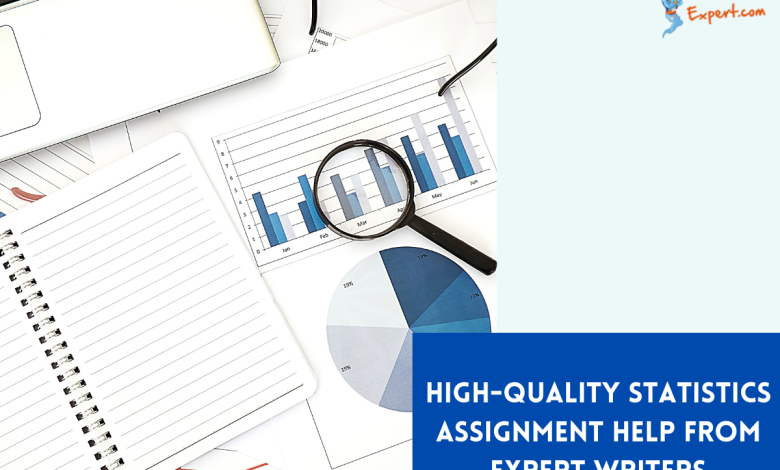 High-Quality Statistics Assignment Help from Expert Writers