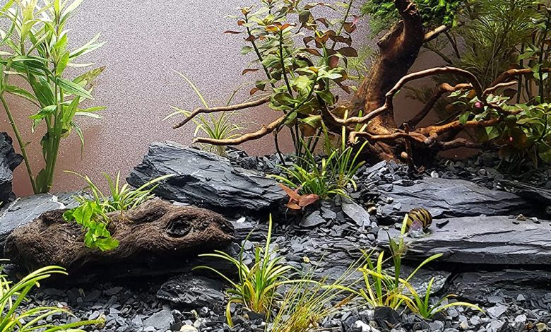 Aquarium stones for sale