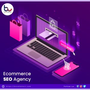 Ecommerce SEO Packages