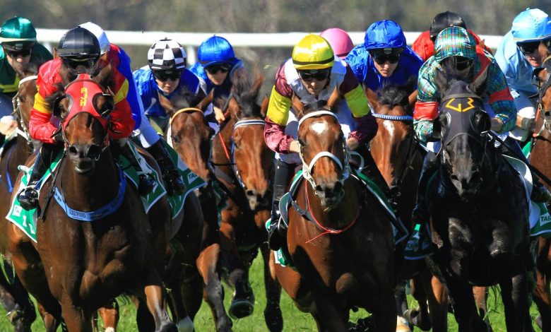 Australian Horse Racing Tips