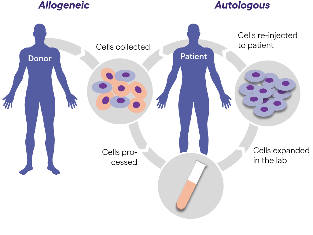 UNLOCKING THE POTENTIAL OF ALLOGENIC CELL THERAPY: A PROMISING FRONTIER ...